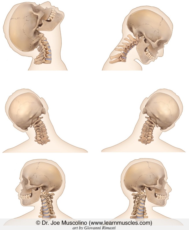 9ff0e999b2827ee9af6de27590258627_1783130948_3124.jpg