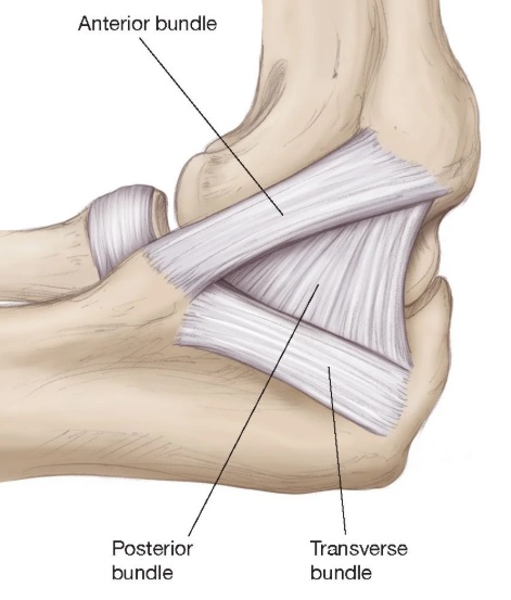 9ff0e999b2827ee9af6de27590258627_1783317970_0038.jpg