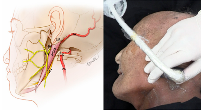 cdc26ff2edede276666f58d31a765741_1786767775_8264.png